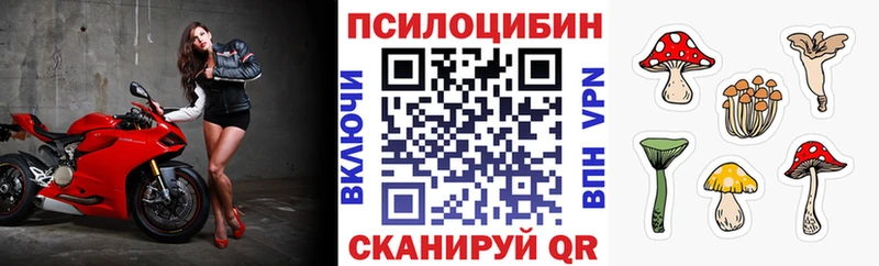 Купить Катайск Галлюциногенные грибы Cubensis